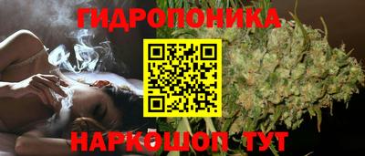 ГАЛЛЮЦИНОГЕННЫЕ ГРИБЫ Можайск