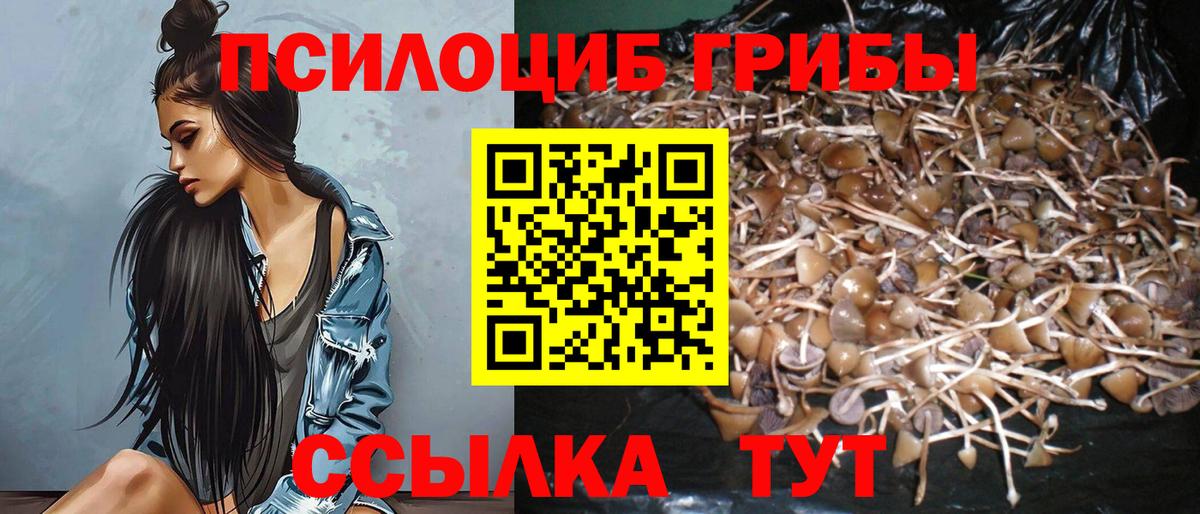 Галлюциногенные грибы GOLDEN TEACHER Соль-Илецк