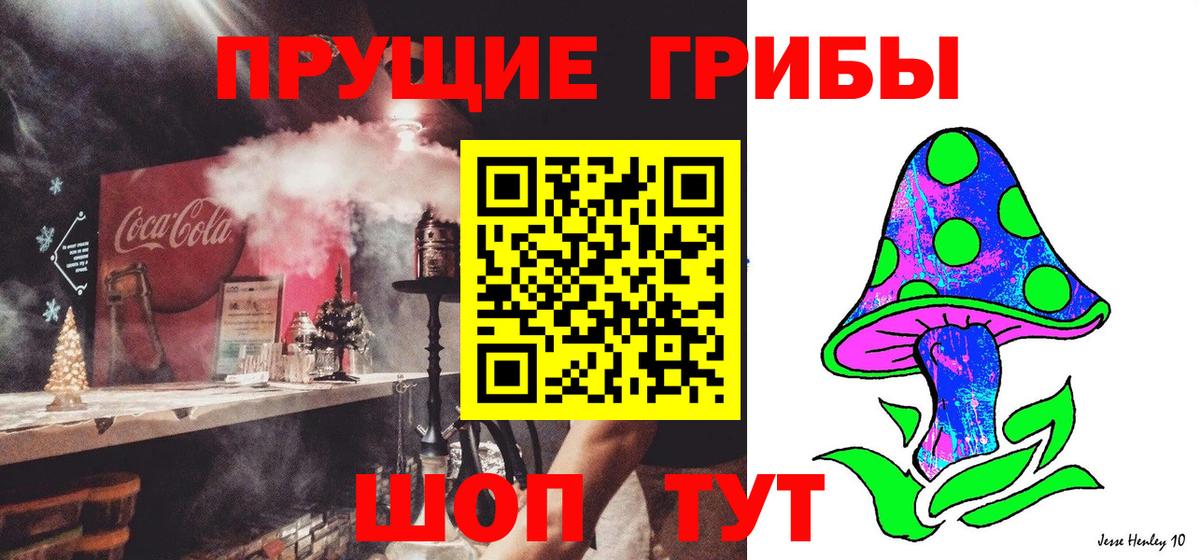 Соль-Илецк  Галлюциногенные грибы Magic Shrooms  Вход с VPN 